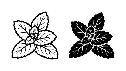 Fresh Mint Leaf Vector Outline and Silhouette Set © ShahinAl
