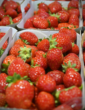 Fraises du march&eacute;