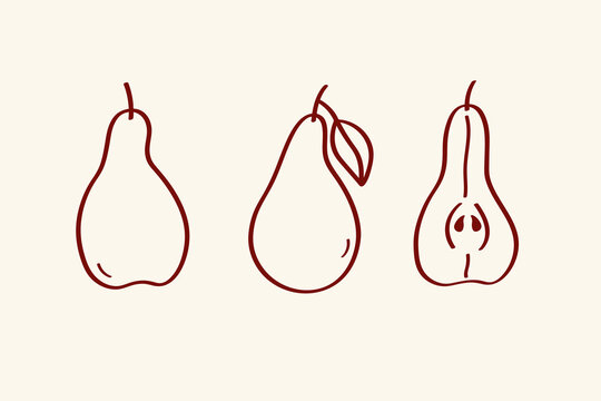 Minimalist line art set of pears. Hand drawn fruit collection. Organic food, cider production. Farm market concept. Vector illustration on isolated background. Design element