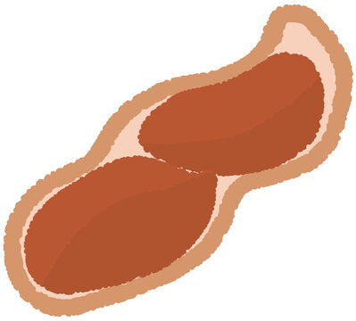 Peanut in Half-Opened Shell Hand Illustration in Crayon Style