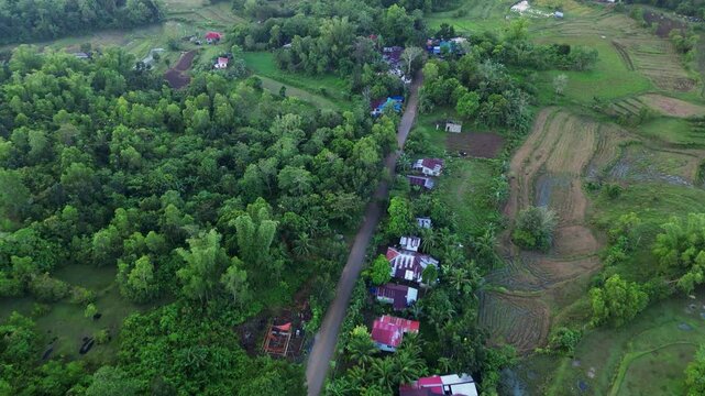Aerial view of winding road cuts through lush vegetation and rural homes on Guimaras Island, Philippines. Perfect for travel and landscape projects.