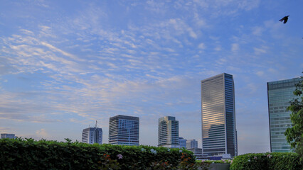 Fototapeta premium 都心散歩 東京湾岸の夜明け