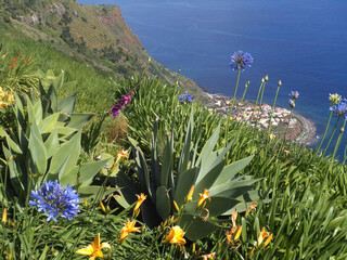 reiche Vegetation an einer Steilküste im Westen von Madeira © Jürgen Nickel