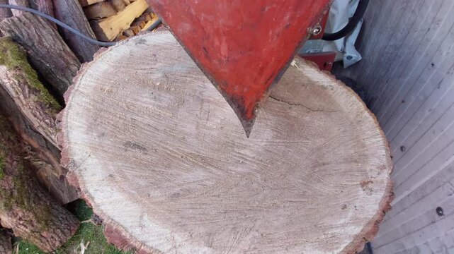 Close up of hydraulic wood splitter blade cutting through oak log