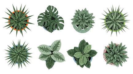 Naklejka premium Set of various potted plants top view