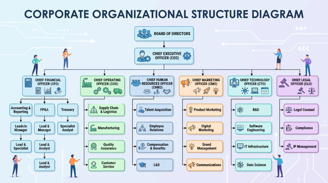 A corporate organizational structure diagram showing the hierarchy of a company's departments and roles. AI, EPS, PNG, JPG, transparent background