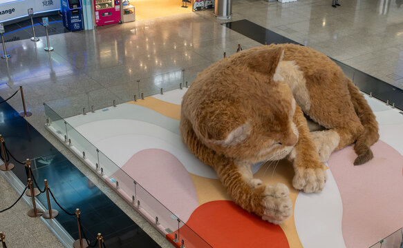 Hong Kong -April 8 2026: An 8-meter (26 ft) long interactive ginger cat sculpture is on display at Hong Kong International Airport