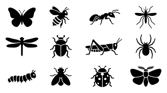 insects set vector illustration, flat design bug collection