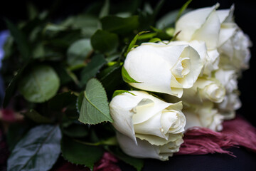 Fototapeta premium Bouquet of creamy white roses rests on a soft scarf. Velvety petals curl into perfect spirals while fresh leaves frame the blooms creating a graceful floral gift for love and celebration.