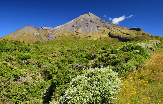 spectacular view of mount taranaki and koromiko on sunny summer day from pembroke road, near the stratford plateau in egmont national park near new plymouth on west coast of new zealand's north island