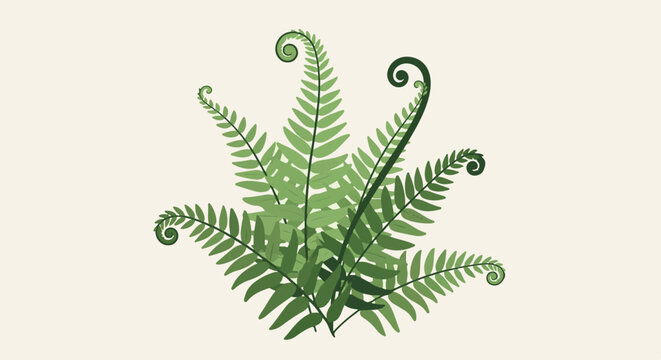 A delicate green fern frond unfurls with coiled fiddleheads against a soft cream background