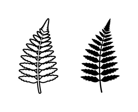 Black Fern Leaf Outline and Silhouette Vector Icons