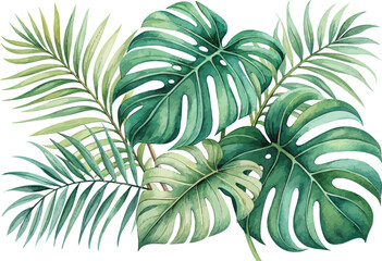Tropical Monstera and Palm Leaves Watercolor Arrangement Vibrant Green vector illustration Isolated on White Background © Dream