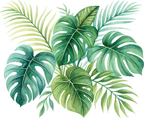Obraz premium Vibrant Tropical Green Leaves Watercolor Illustration with Monstera and Palm Isolated on White