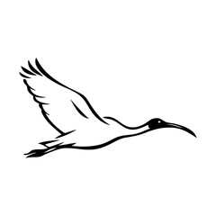 Logotipo con dibujo minimalista con líneas de un ibis volando  © teracreonte