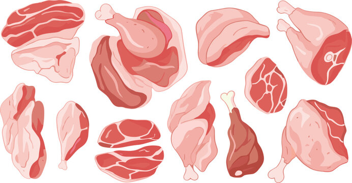 Raw meat cuts vector illustration set with beef pork and chicken pieces in fresh butcher style collection for food design