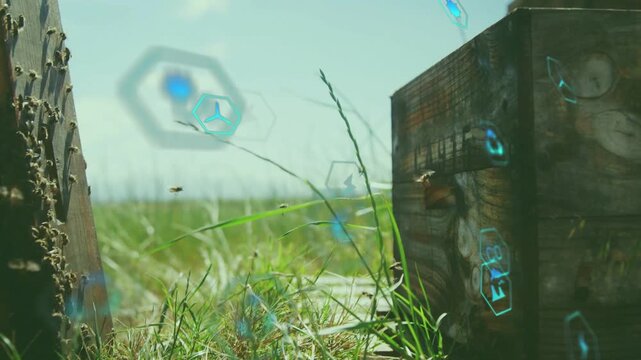 Hex icons rising, drifting over grass near hive, bees flying, view panning right, showing hive data