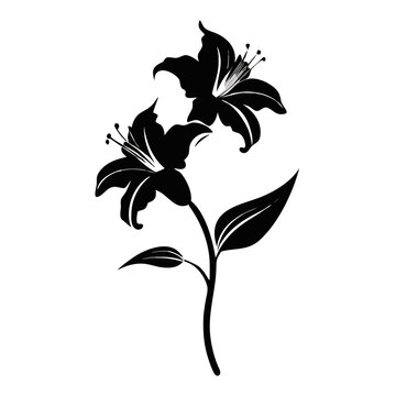 Lily flower silhouette vector illustration. Elegant botanical plant design element. Isolated on transparent background