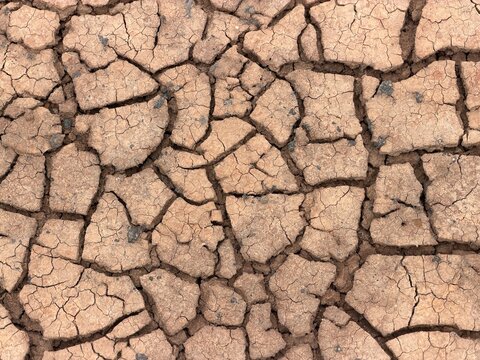 Tierra &aacute;rida con grietas en superficie