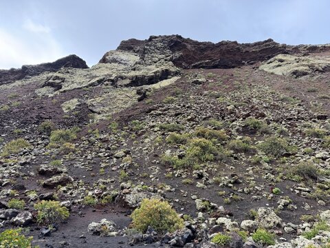 Interior del cr&aacute;ter del Volc&aacute;n de los Cuervos en Lanzarote