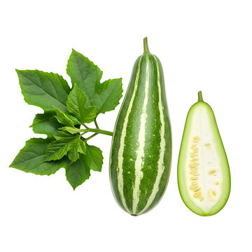 Whole striped parwal with fresh leaves and one sliced half, isolated white background, studio light
