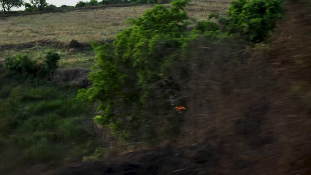 farmland with green vegetation fields and forest fire parali burning in countryside landscape