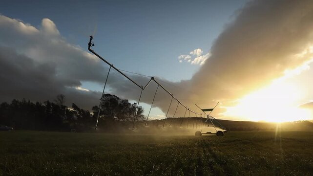 Irrigation center pivot is backlit on wheat field during golden hour