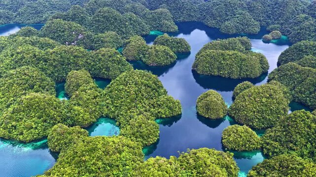 Dense green islands surrounded by vibrant blue waters create a stunning natural pattern in Sohoton Cove.