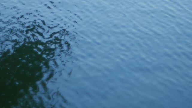 Abstract close-up of blue rippling lake water surface with dark tree shadow reflection and subtle wave texture pattern