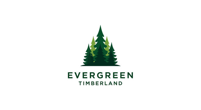 Evergreen Timberland Logo Design with Pine Trees.