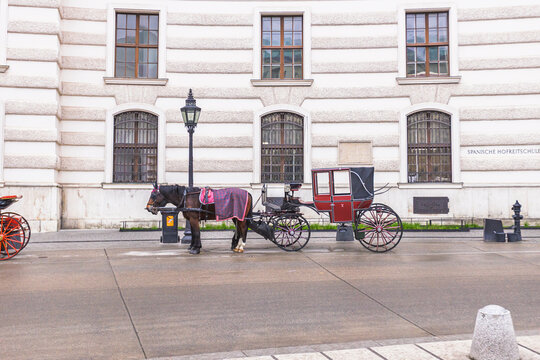Traditional horse-drawn Fiaker carriage parked by a historic building in Vienna.