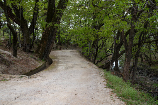 옥산서원 앞 자계천 변 세심대 계곡, Sesimdae Valley along Jagyecheon Stream in front of Oksanseowon Confucian Academy