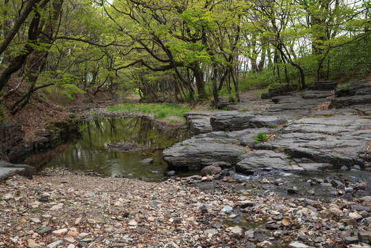 옥산서원 앞 자계천 변 세심대 계곡, Sesimdae Valley along Jagyecheon Stream in front of Oksanseowon Confucian Academy