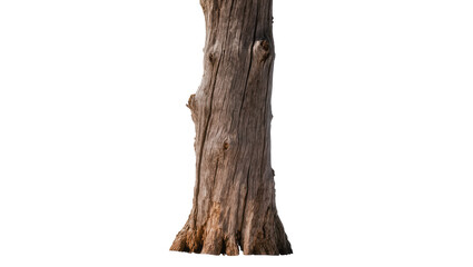 Fototapeta premium Weathered rough brown tree trunk with textured bark, isolated on transparent background