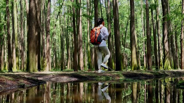 Young female hiker backpacker trekking clothes walks alone along forest path with backpack over her shoulder, enjoy the peaceful nature jungle stream water reflection, nature exploration tranquility