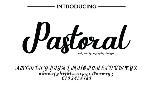 Pastoral Script Font Typography Poster &ndash; Elegant Modern Calligraphy Showcase