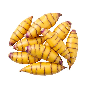 A Yellow oca (Oxalis tuberosa) tubers in a pile, isolated on a clean on transparent background