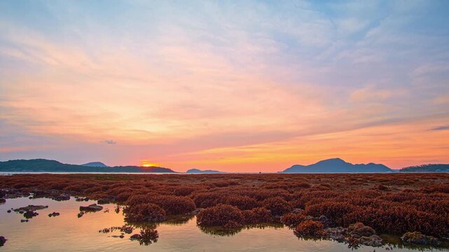 time lapse stunning coastal landscape featuring coral reefs exposed during low tide under a breathtaking sunset sky reflecting across the water. This image captures the serene beauty of marine life