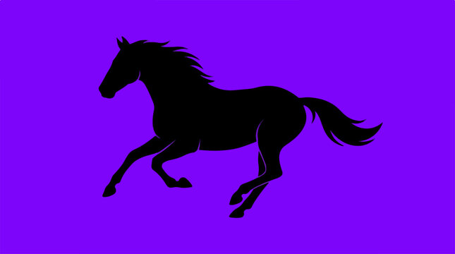 Silhouette of a galloping horse against a vibrant purple backdrop.