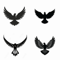 Fototapeta premium Colorful Bird Vector Illustration