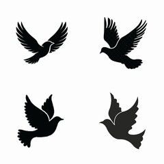 Obraz premium Colorful Bird Vector Illustration