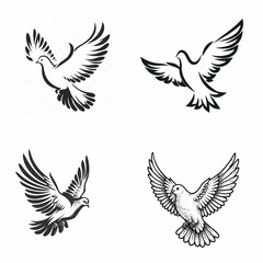 Obraz premium Colorful Bird Vector Illustration