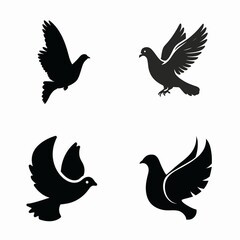 Fototapeta premium Colorful Bird Vector Illustration