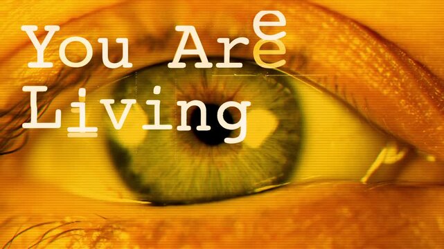 text with words you are living in a simulation with eye
