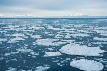 Japan,Hokkaido,Abashiri,icebreaker,drifting ice © C.C.T