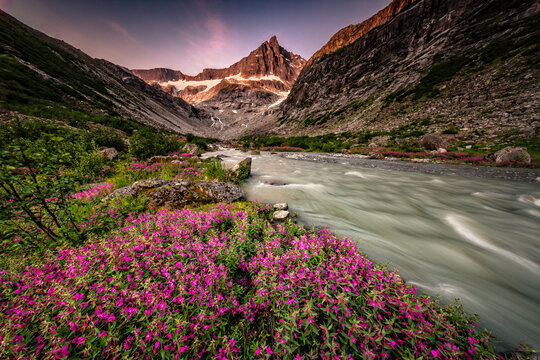 Picturesque Mountains of Alaska in summer. Snow covered massifs, glaciers and rocky peaks. Beautiful natural background.