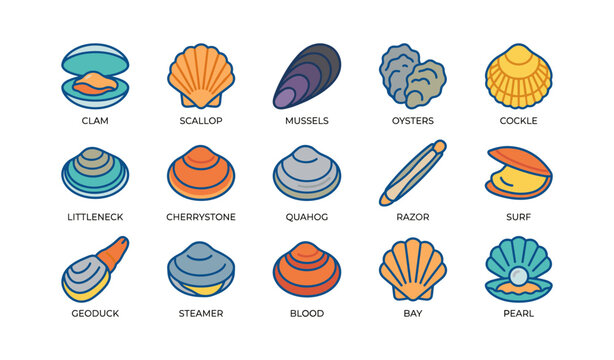 Shell and mollusk icons arranged in a grid on white background