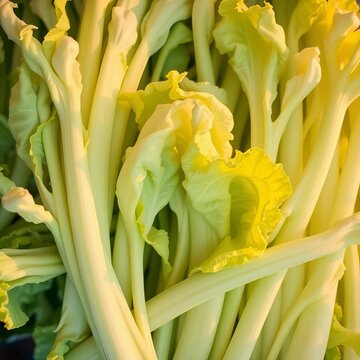 A serene, overhead view of celtuce stems, their pale green hues diffused by a soft pastel glow, a whisper of the market's vibrant essence,  overhead perspective,  high angle shot