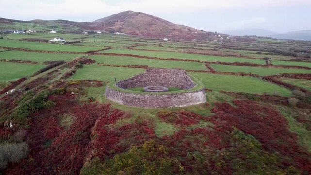Aerial footage moving downward toward the ancient circular stone walls of Cahergal Ringfort the historic stone cashel surrounded by red bracken and green patchwork fields