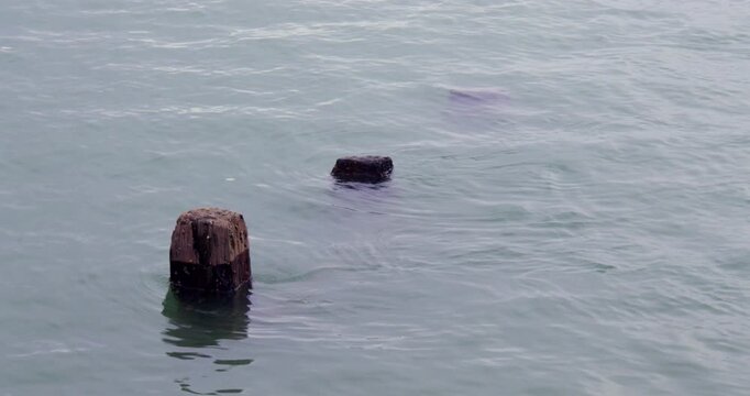 Shot of wooden groynes Disappearing at high tide at Shoreham harbour